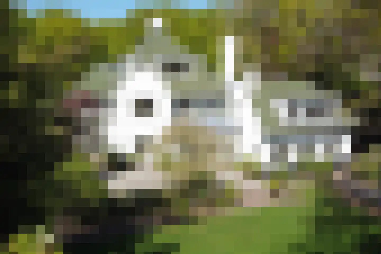 Groot Haesebroekseweg 43 Wassenaar thumbnail 26