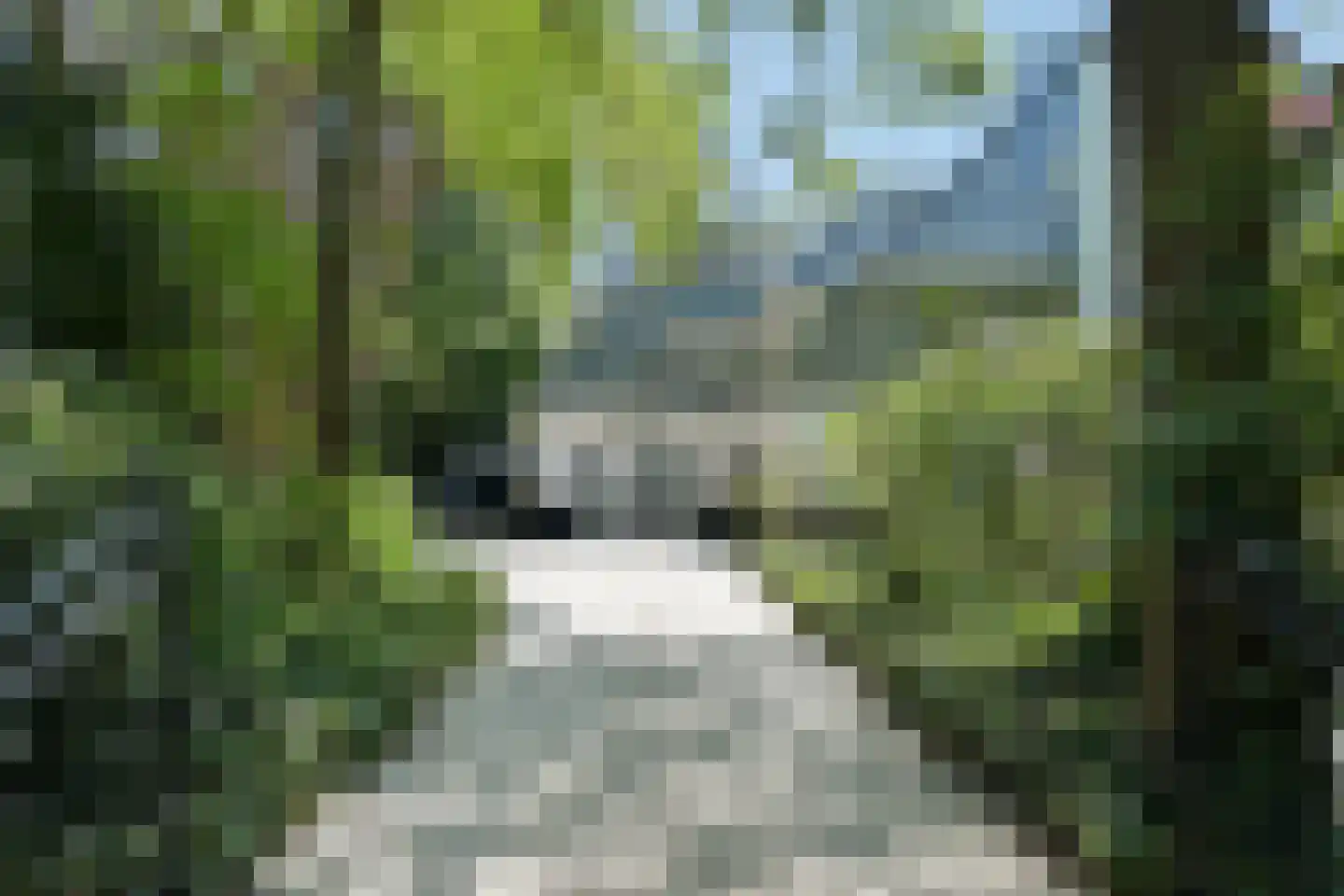 Groot Haesebroekseweg 43 Wassenaar thumbnail 27