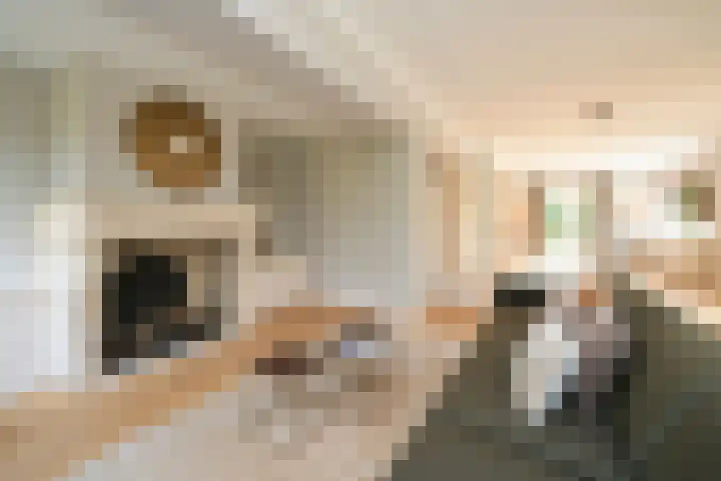 Groot Haesebroekseweg 43 Wassenaar thumbnail 6