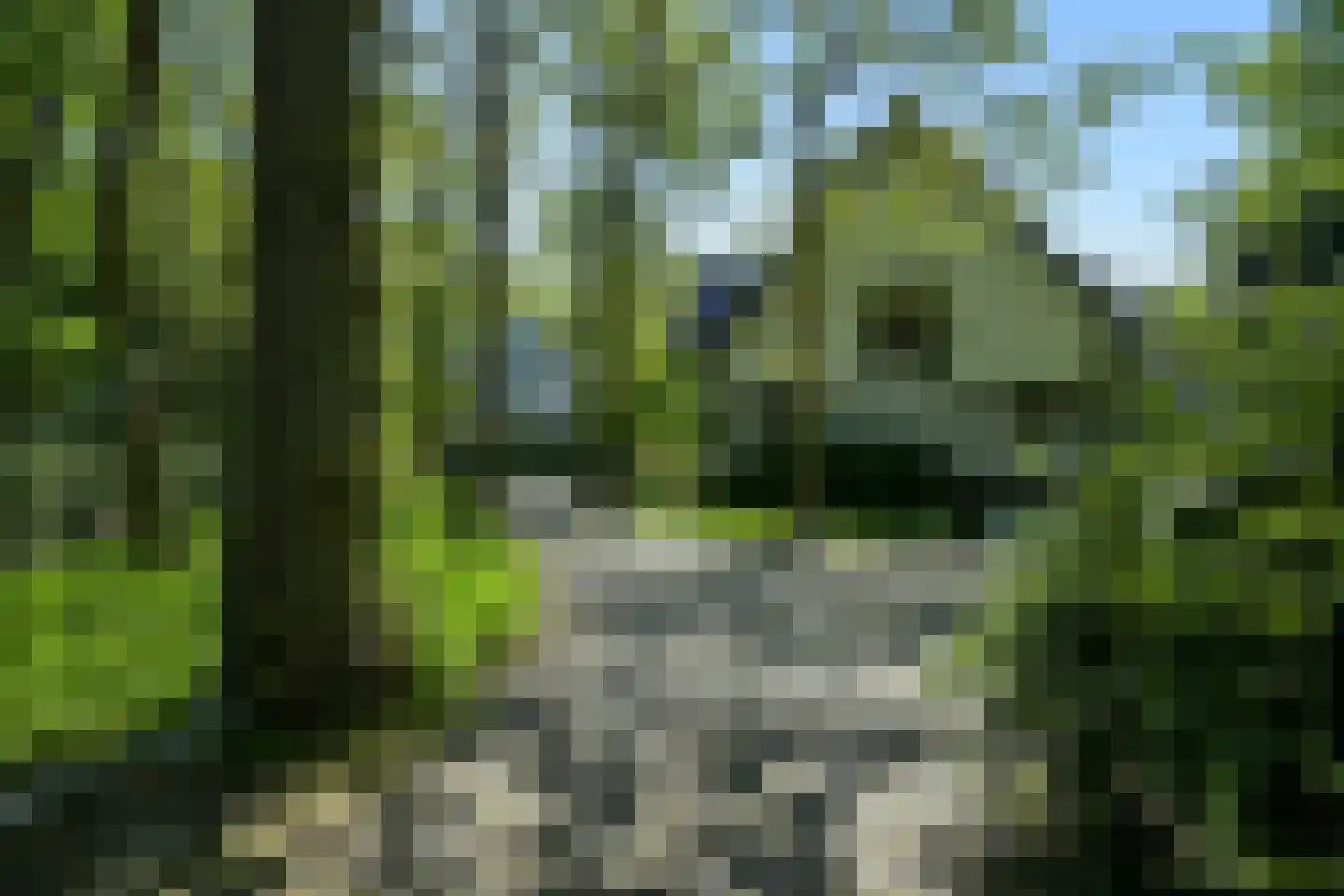 Groot Haesebroekseweg 53 A Wassenaar thumbnail 31