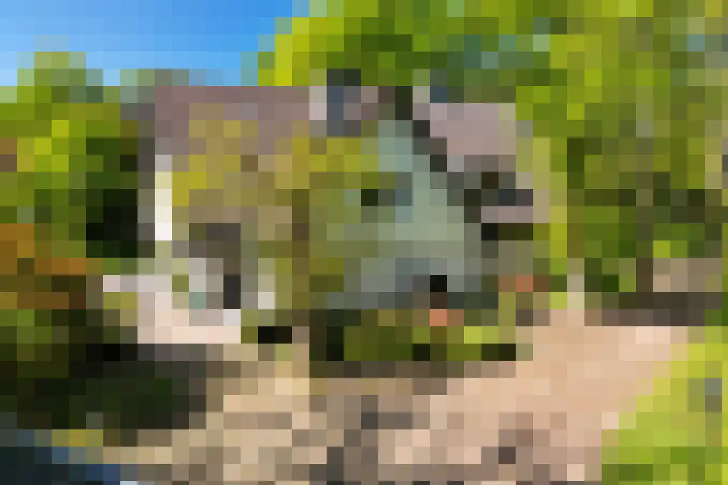 Groot Haesebroekseweg 53 A Wassenaar thumbnail 5