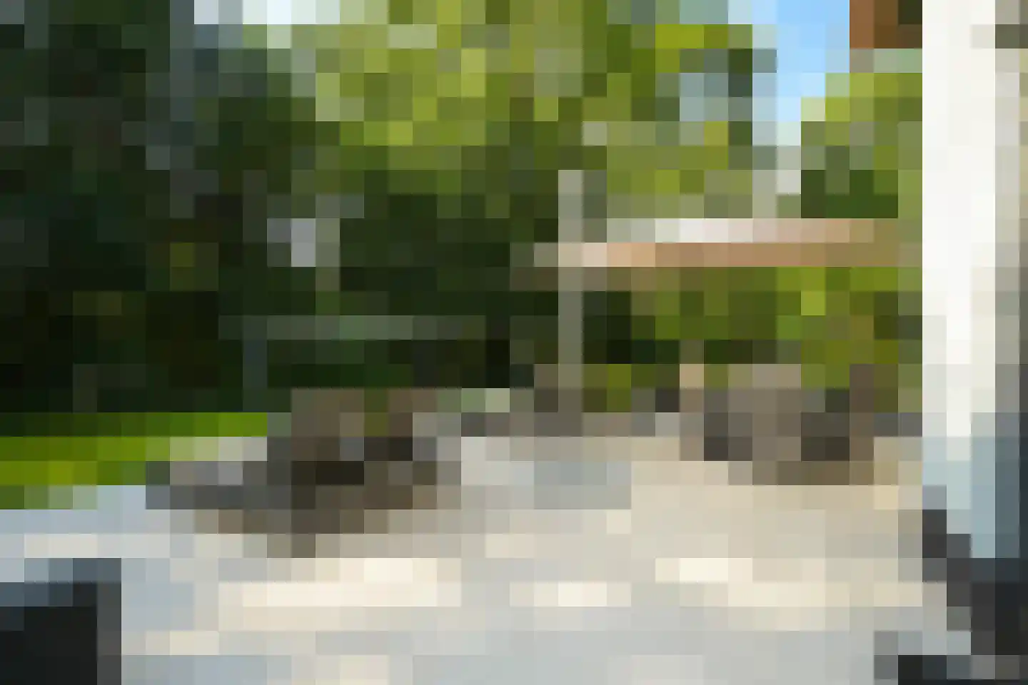 Groot Haesebroekseweg 53 Wassenaar thumbnail 19