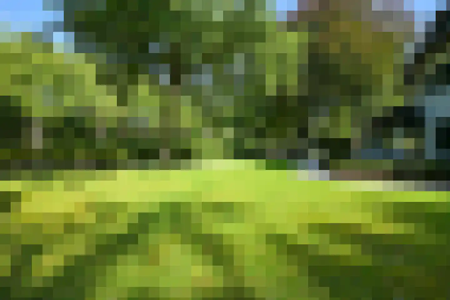 Groot Haesebroekseweg 53 Wassenaar thumbnail 41