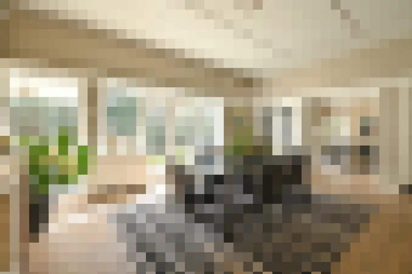 Groot Haesebroekseweg 61 Wassenaar thumbnail 11