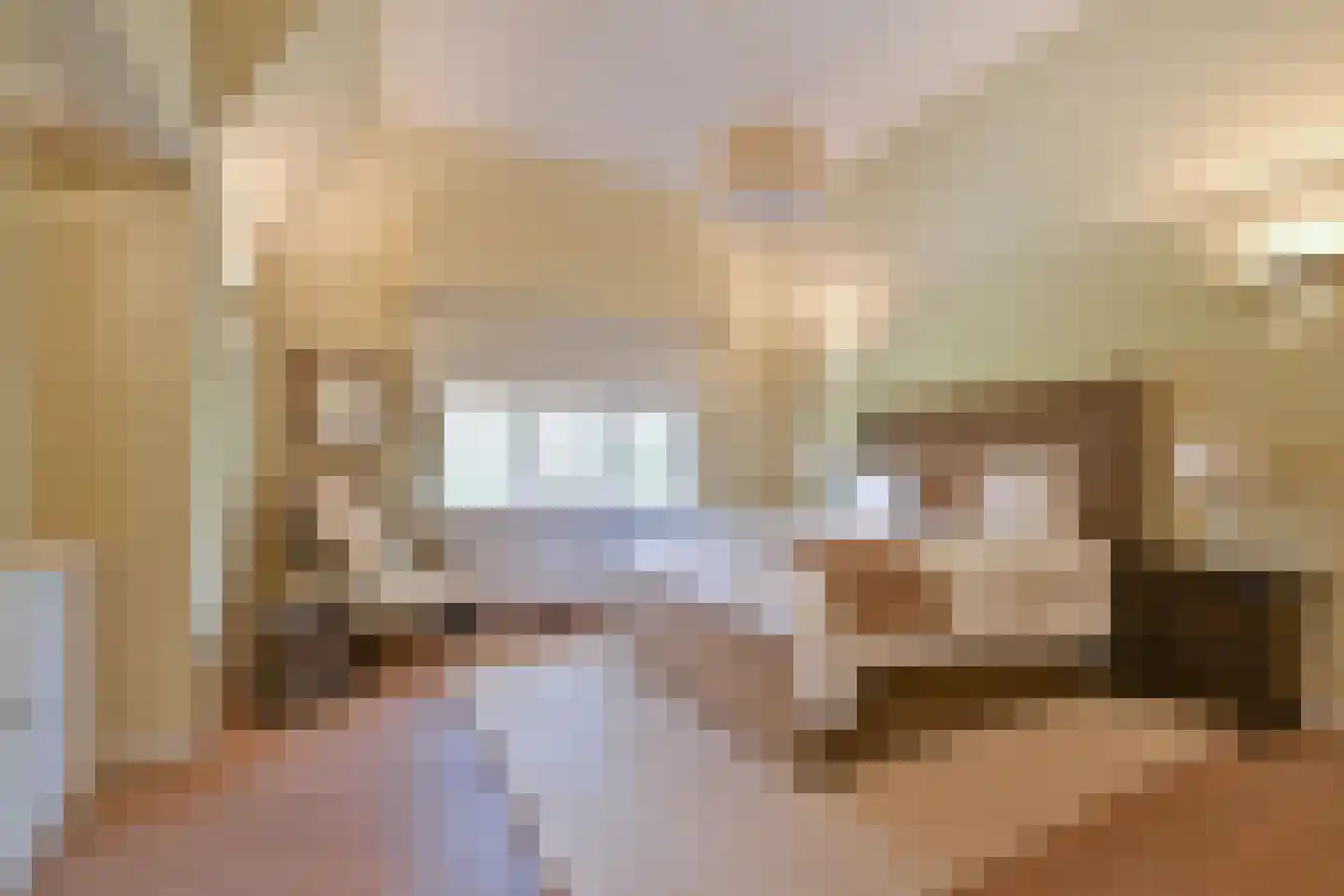 Groot Haesebroekseweg 61 Wassenaar thumbnail 31