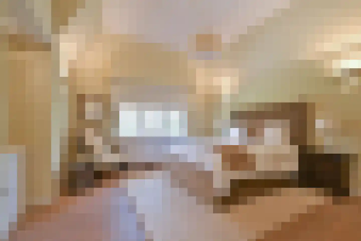 Groot Haesebroekseweg 61 Wassenaar thumbnail 33