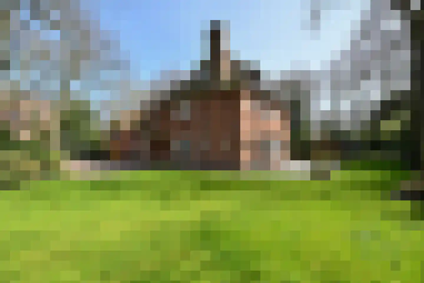 Groot Haesebroekseweg 61 Wassenaar thumbnail 38