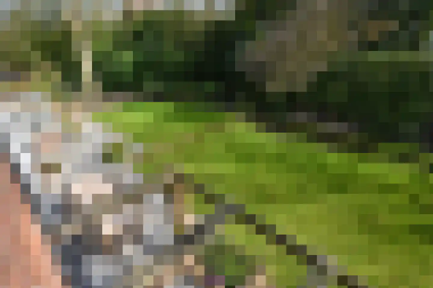 Groot Haesebroekseweg 61 Wassenaar thumbnail 40