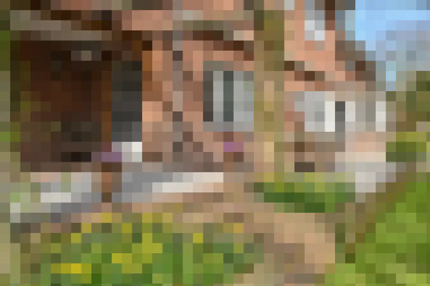 Groot Haesebroekseweg 61 Wassenaar thumbnail 41