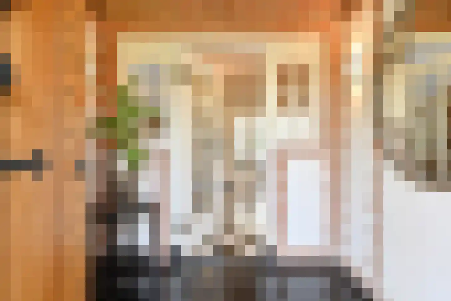 Groot Haesebroekseweg 61 Wassenaar thumbnail 7