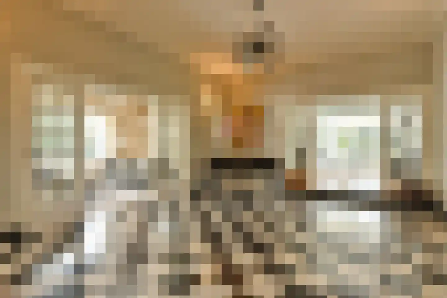 Groot Haesebroekseweg 61 Wassenaar thumbnail 8