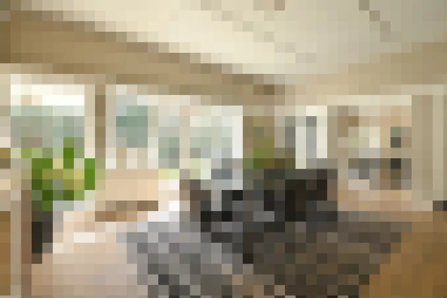 Groot Haesebroekseweg 61 Wassenaar thumbnail 9