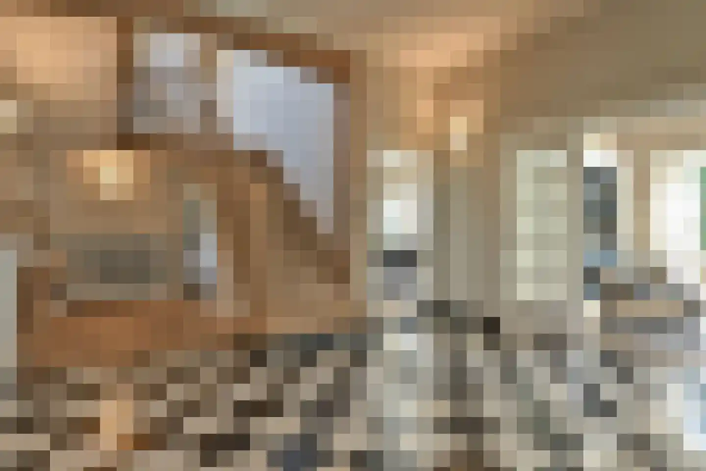 Groot Haesebroekseweg 61 Wassenaar thumbnail 9
