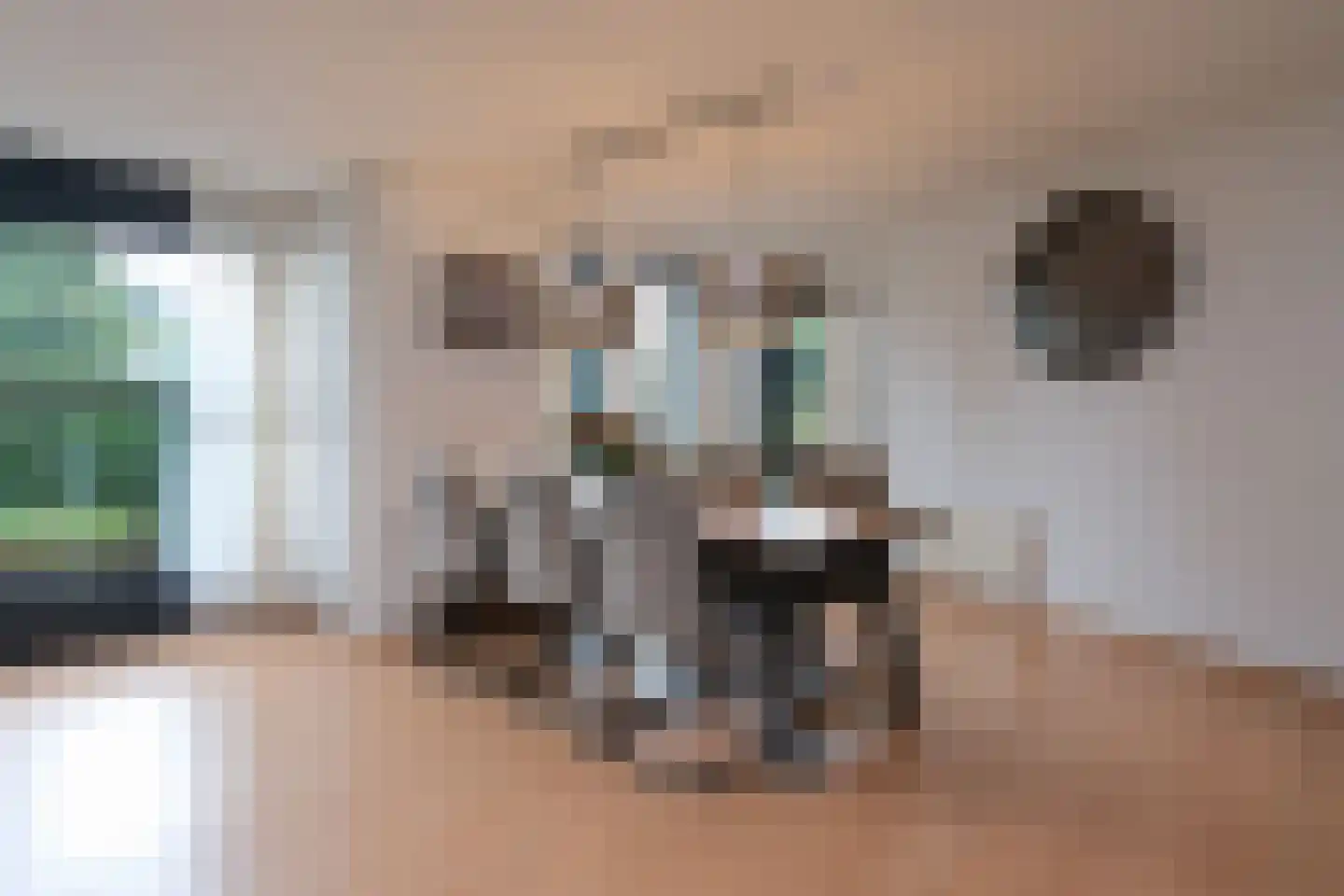 Groot Hag 12 Almelo thumbnail 13