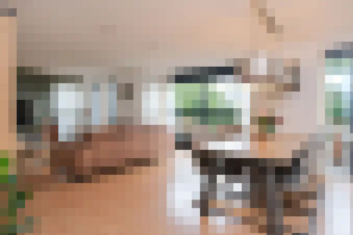 Groot Hag 12 Almelo thumbnail 14