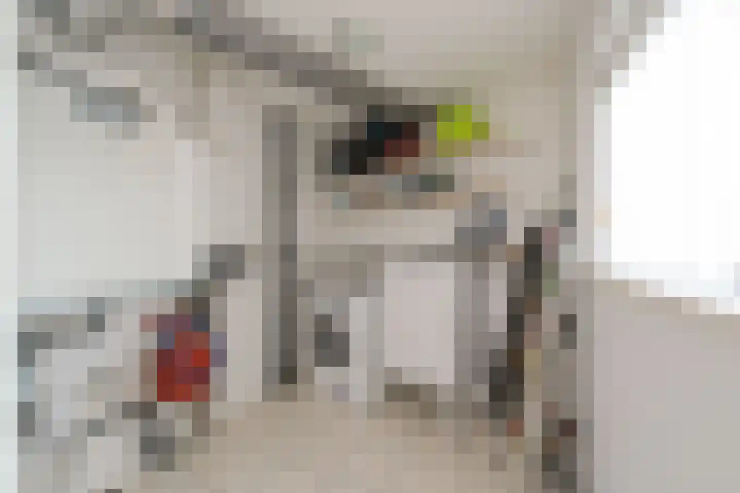 Groot Hag 12 Almelo thumbnail 33