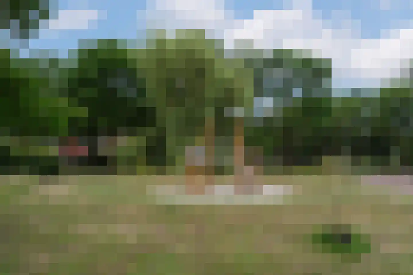 Groot Hag 12 Almelo thumbnail 41