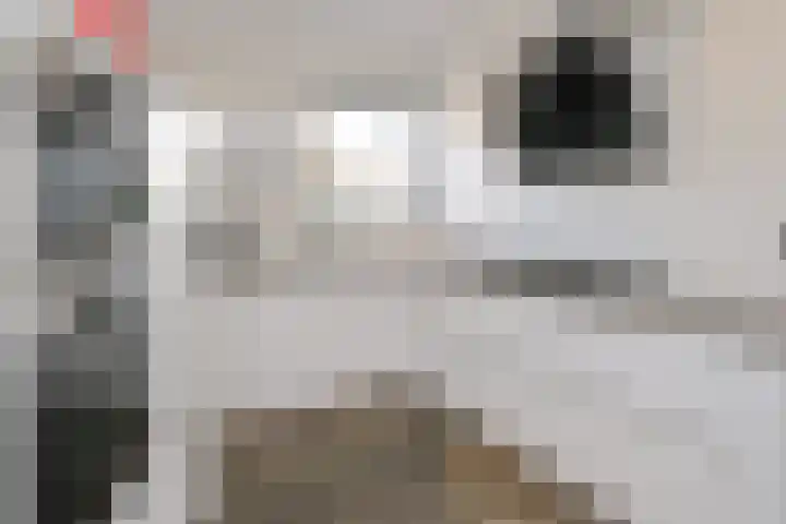 Groot Hag 14 Almelo thumbnail 10