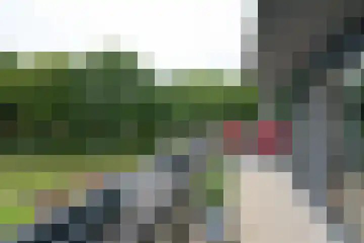 Groot Hag 14 Almelo thumbnail 22