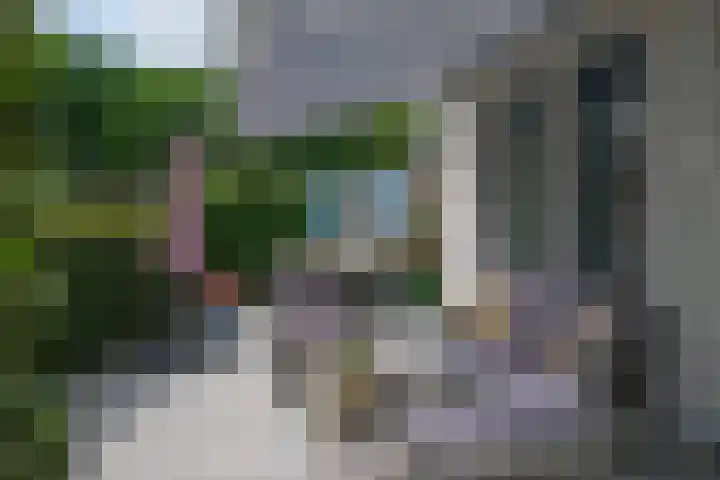 Groot Hag 14 Almelo thumbnail 36