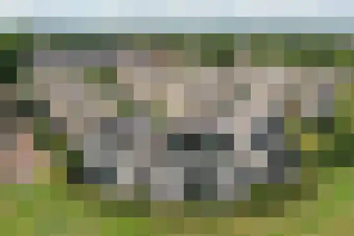 Groot Hag 14 Almelo thumbnail 44