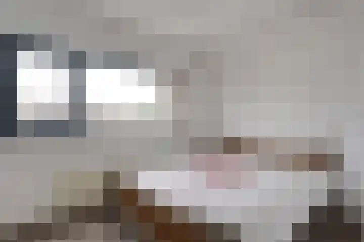 Groot Hag 7 Almelo thumbnail 14