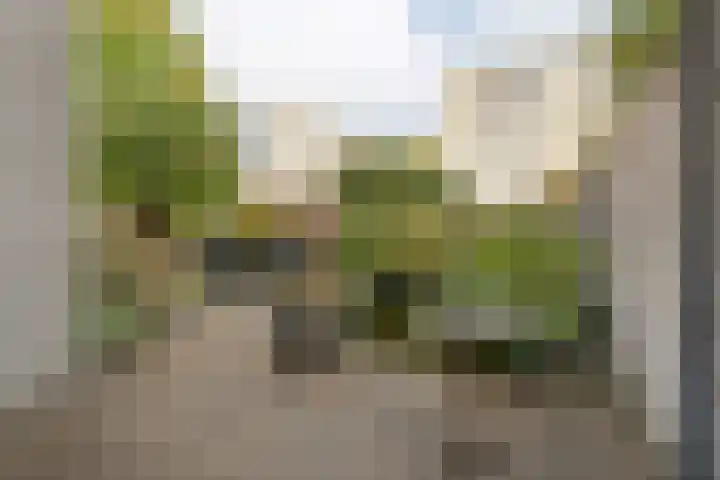Groot Hag 7 Almelo thumbnail 24