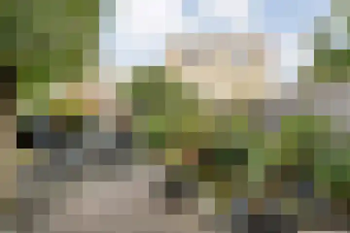 Groot Hag 7 Almelo thumbnail 25