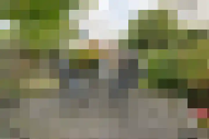 Groot Hag 7 Almelo thumbnail 26