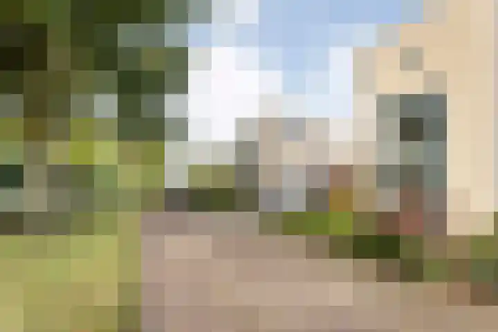Groot Hag 7 Almelo thumbnail 29