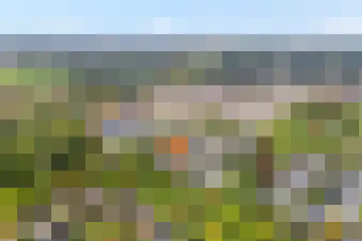 Groot Hag 7 Almelo thumbnail 30