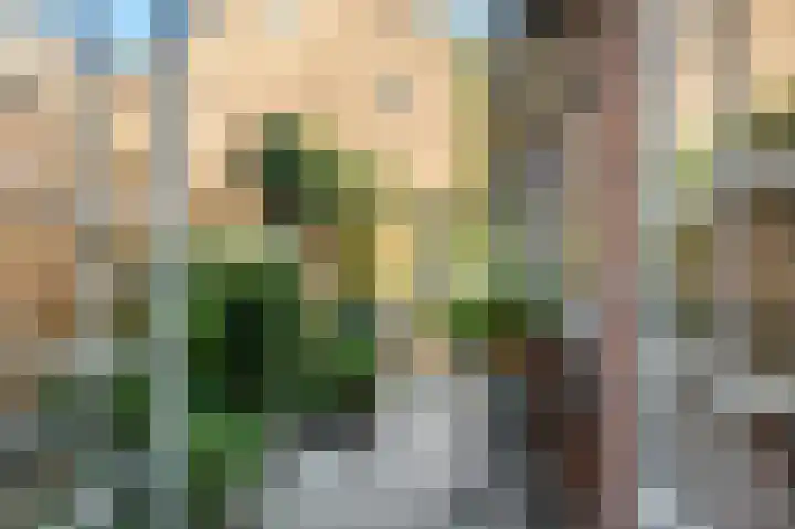 Groot Heiligland 20 Haarlem thumbnail 15