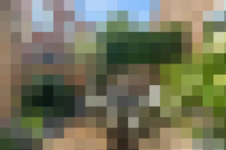 Groot Heiligland 20 Haarlem thumbnail 17