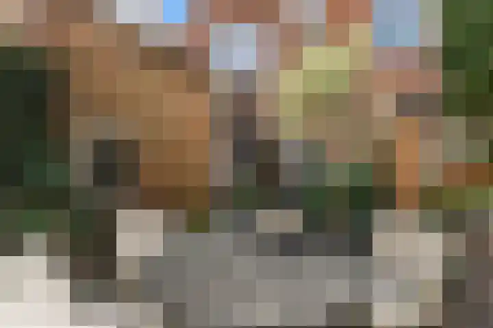 Groot Heiligland 20 Haarlem thumbnail 18