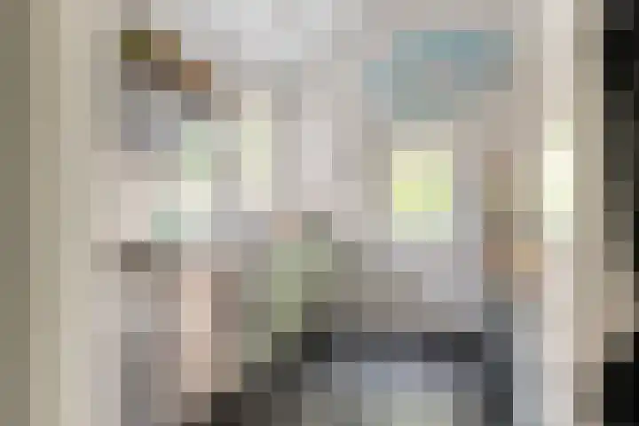 Groot Heiligland 20 Haarlem thumbnail 23