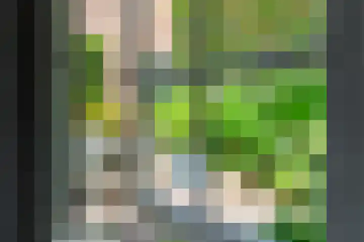 Groot Heiligland 20 Haarlem thumbnail 24