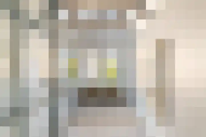 Groot Heiligland 20 Haarlem thumbnail 32