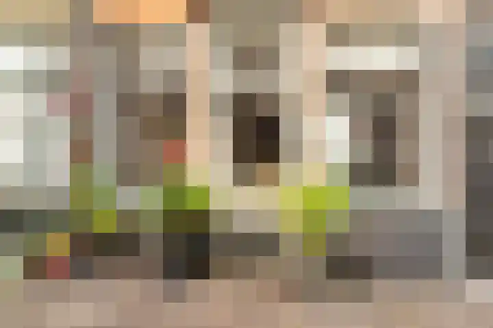 Groot Heiligland 20 Haarlem thumbnail 7