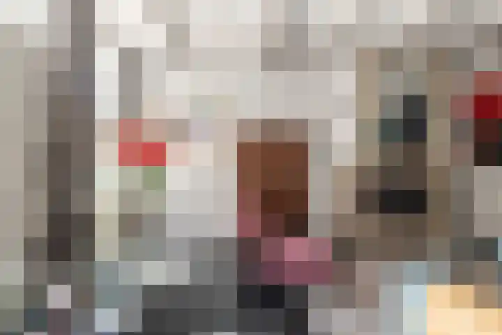 Groot Heiligland 20 Haarlem thumbnail 8