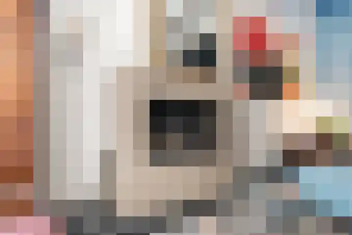 Groot Heiligland 20 Haarlem thumbnail 9
