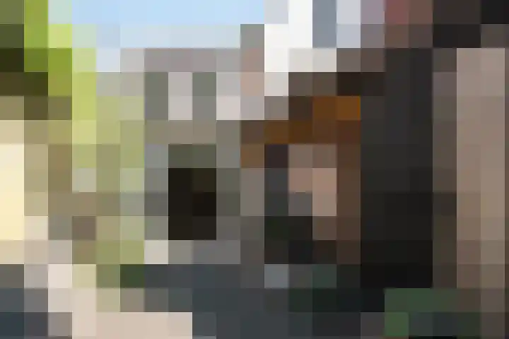 Groot Heiligland 64 Haarlem thumbnail 12
