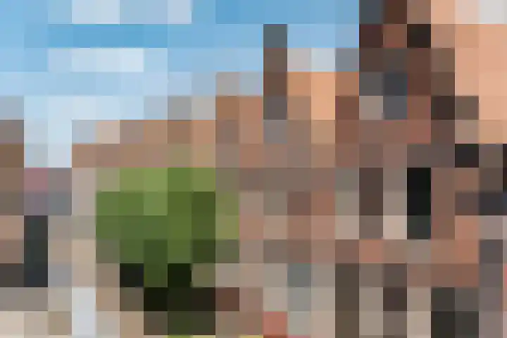 Groot Heiligland 64 Haarlem thumbnail 18