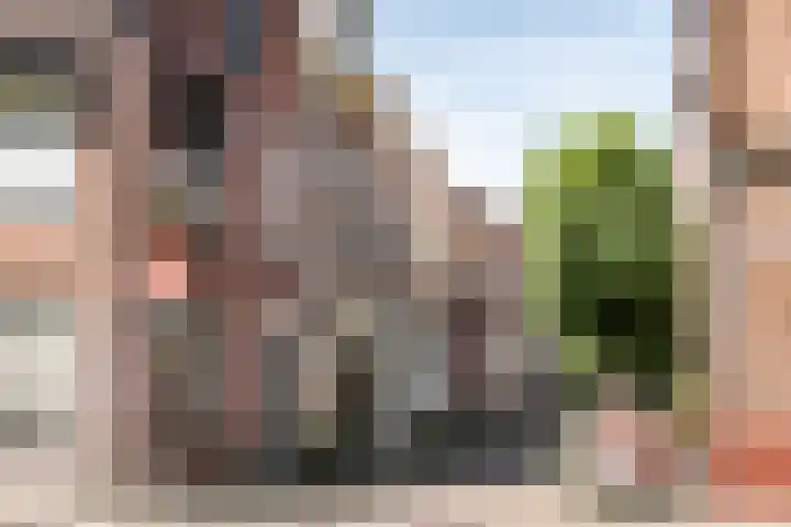 Groot Heiligland 64 Haarlem thumbnail 21