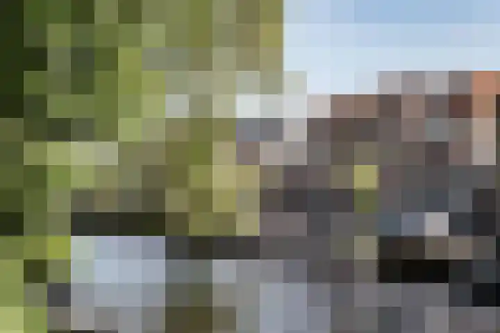 Groot Heiligland 64 Haarlem thumbnail 22