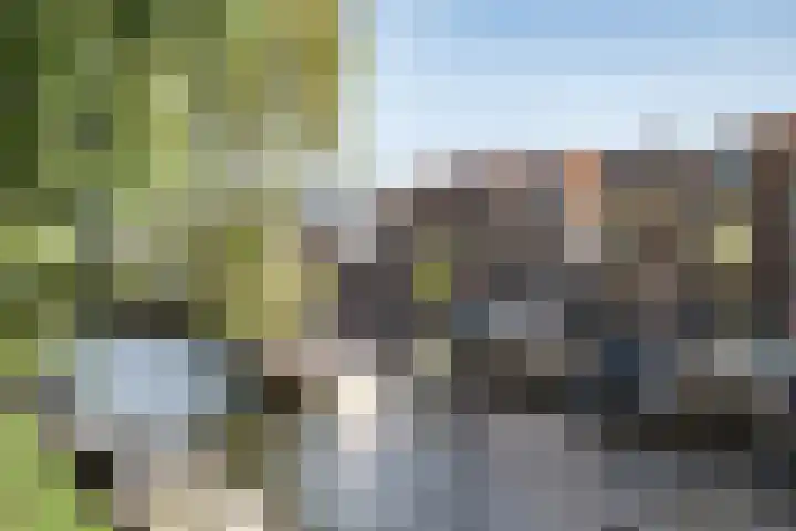 Groot Heiligland 64 Haarlem thumbnail 24