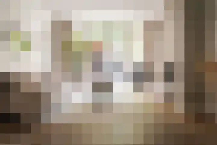 Groot Heiligland 64 Haarlem thumbnail 6