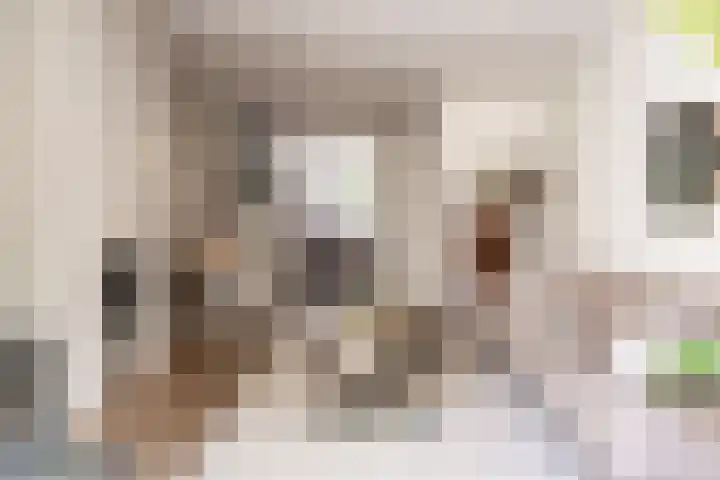 Groot Heiligland 64 Haarlem thumbnail 8