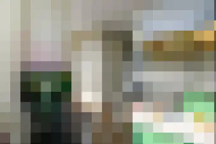 Groot Hertoginnelaan 10 A Den Haag thumbnail 24
