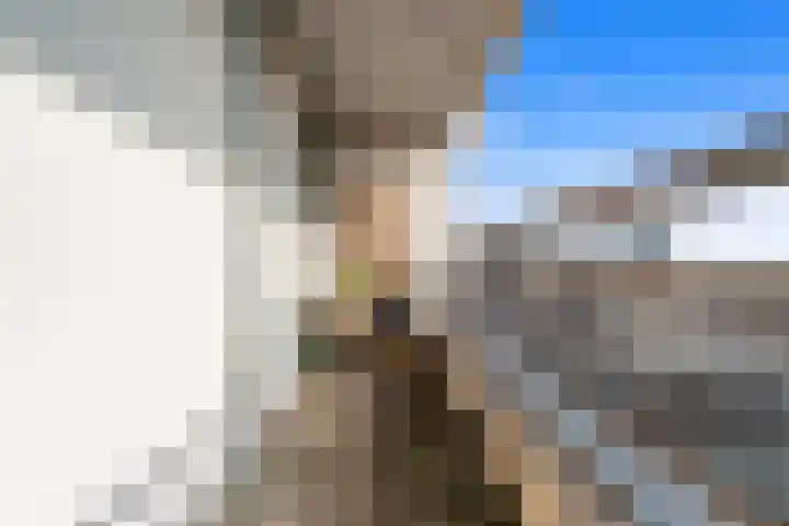 Groot Hertoginnelaan 10 A Den Haag thumbnail 4