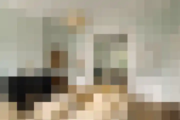Groot Hertoginnelaan 101 Den Haag thumbnail 10